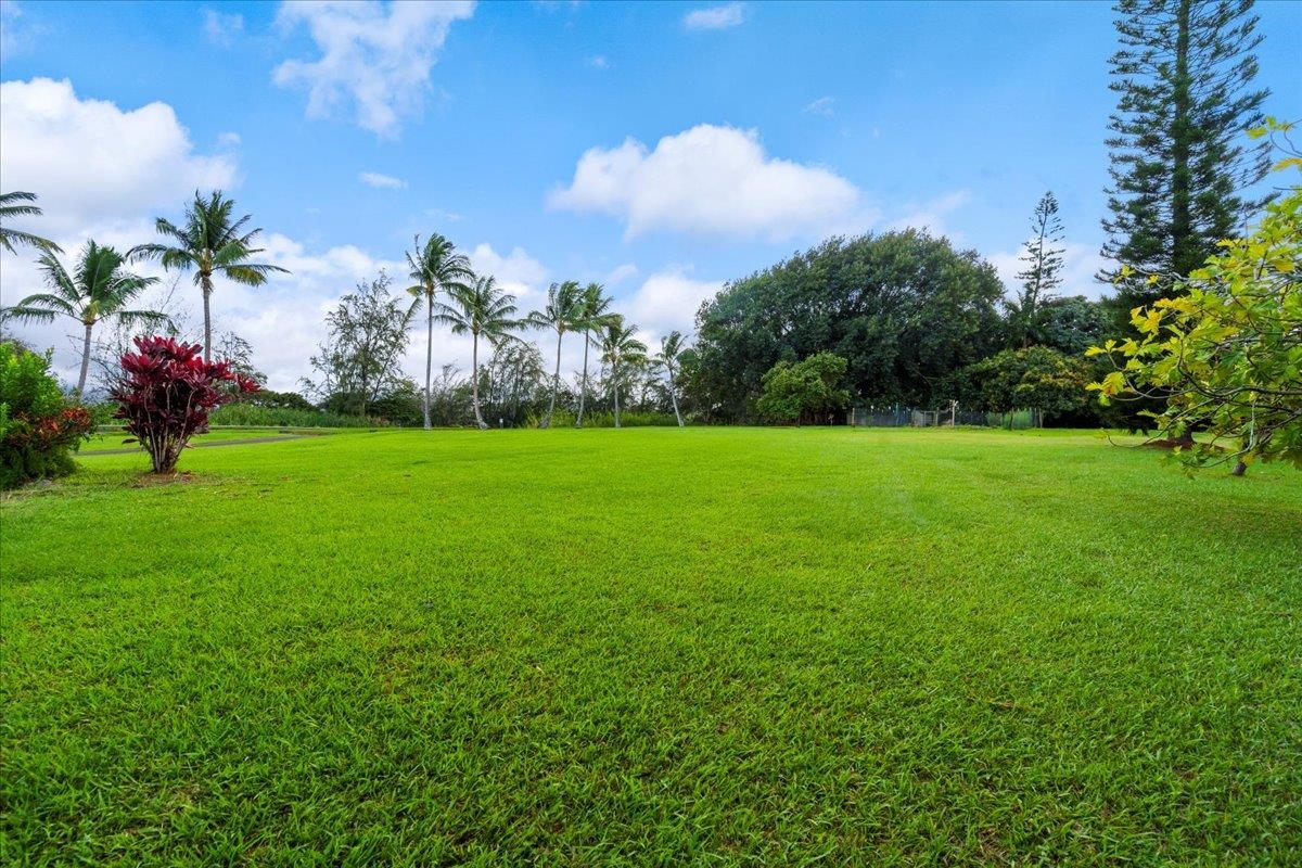44 Kaupakalua Road Haiku, HI 96708 - Photo 33 of 48 a view of a garden with a tree in the background