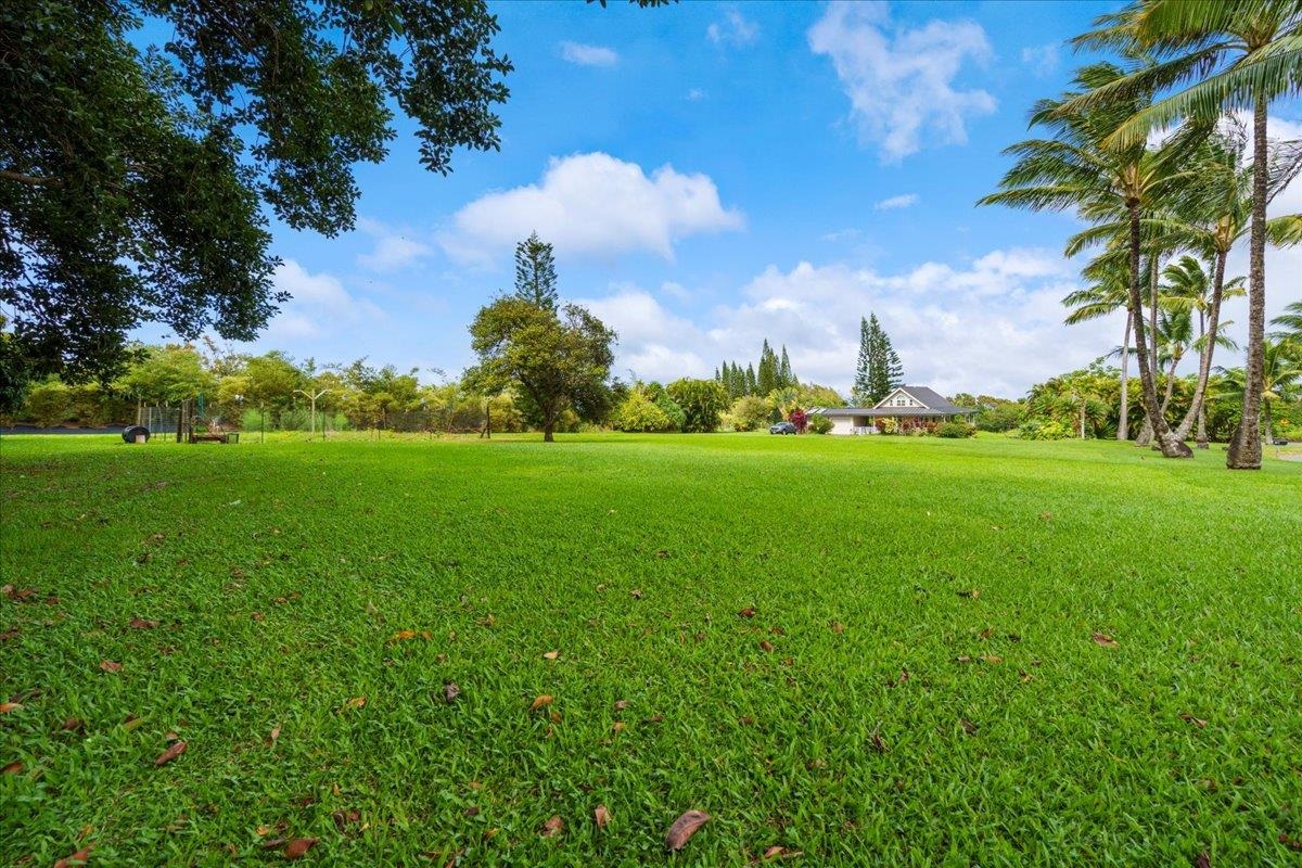 44 Kaupakalua Road Haiku, HI 96708 - Photo 34 of 48 a view of a trees with a big yard