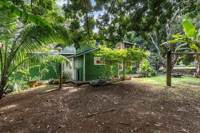 a view of a tree in the middle of a yard