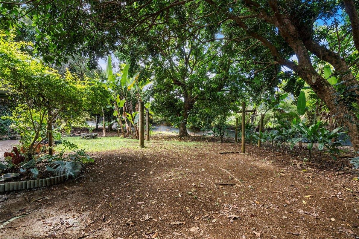 44 Kaupakalua Road Haiku, HI 96708 - Photo 47 of 48 a view of a tree in the middle of a yard