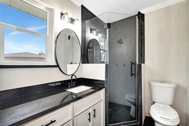 a bathroom with a granite countertop toilet sink and mirror