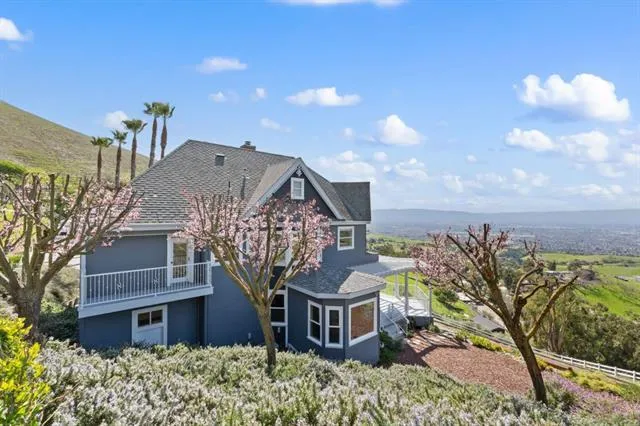 a view of a house with a yard and potted plants