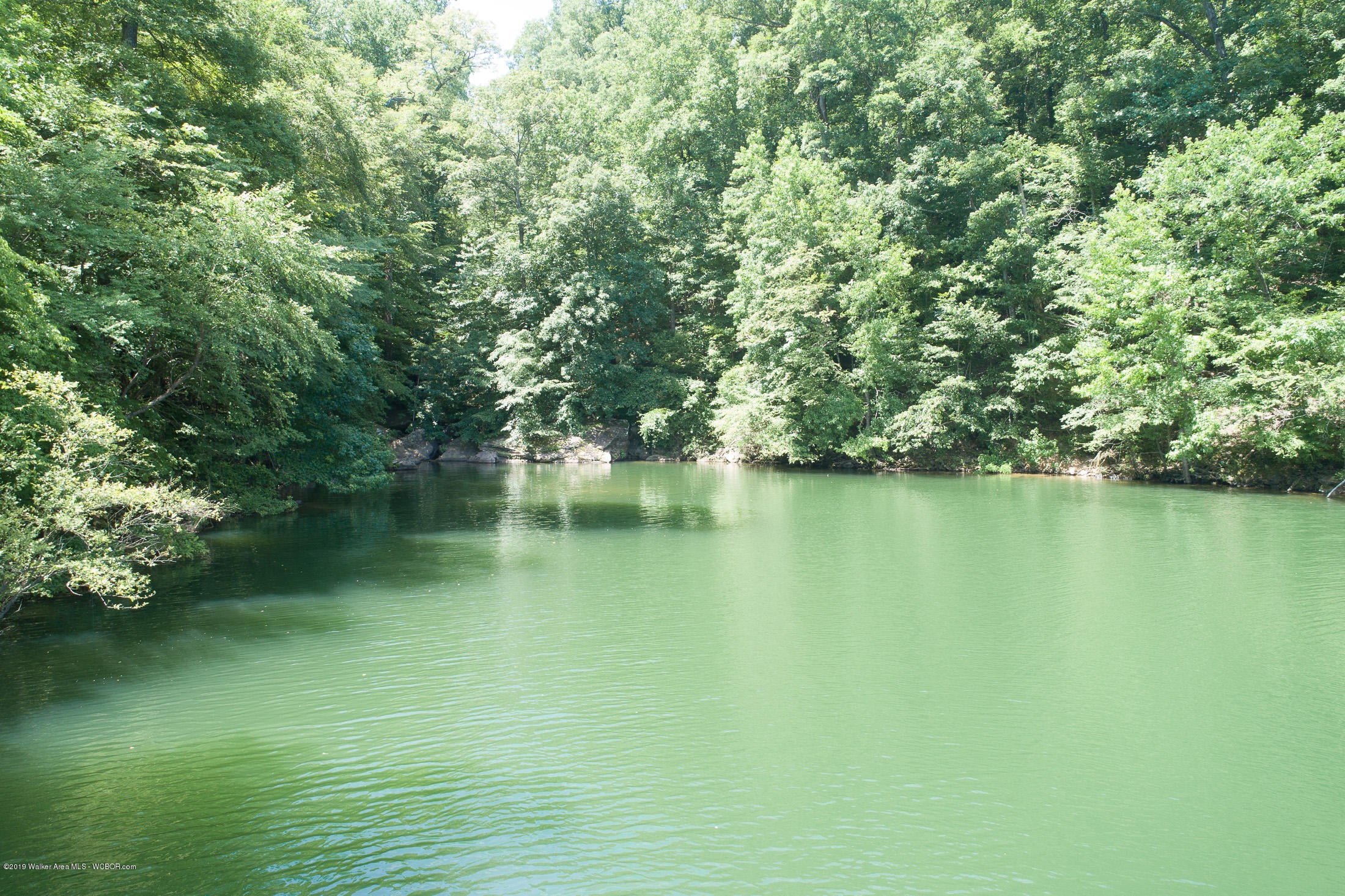 1680 Co Road Bremen, AL 35033 - Photo 9 of 22 Gallery Image 9