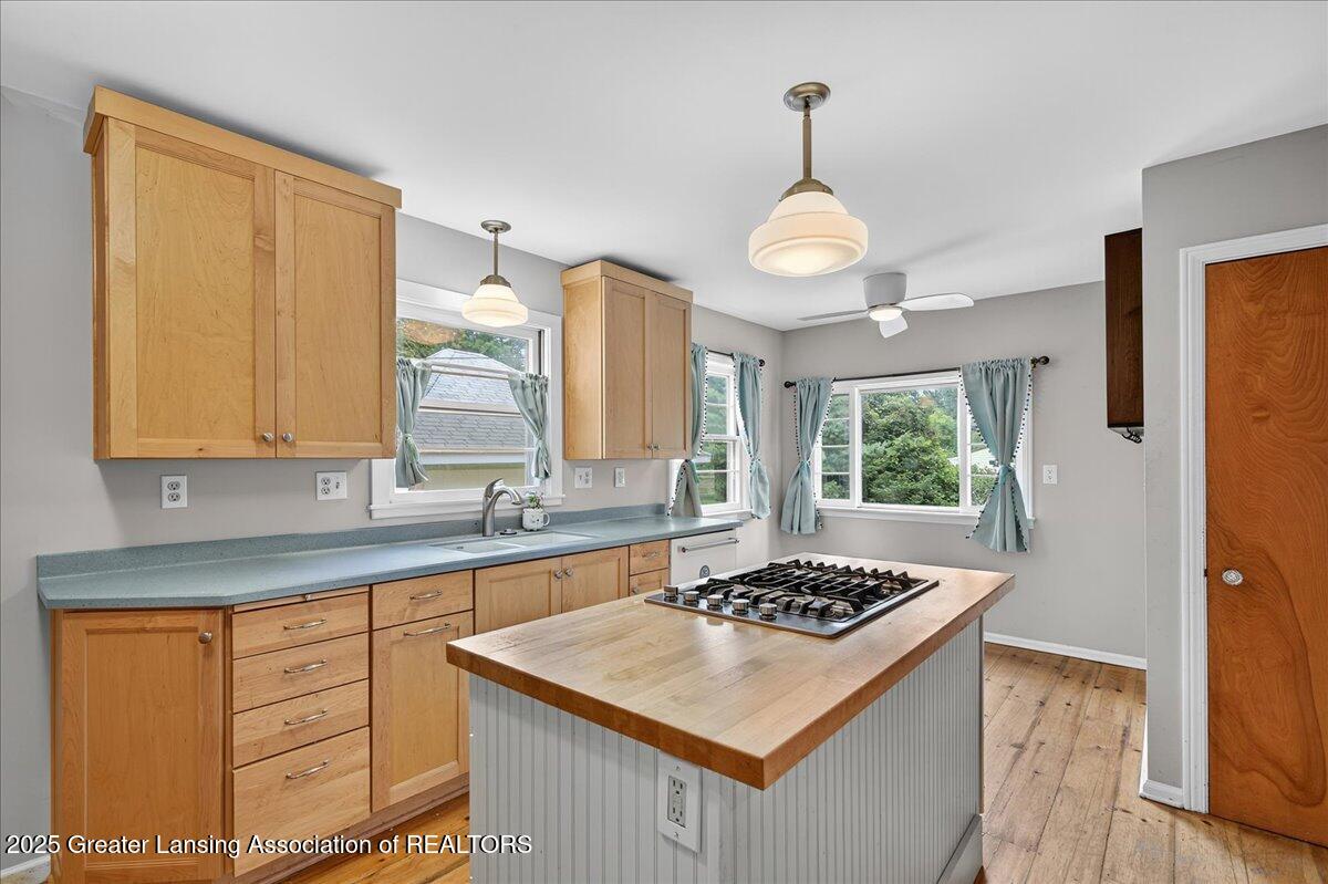133 East Riverside Street Williamston, MI 48895 - Photo 8 of 44 Kitchen