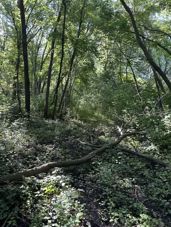 $285,000 | Xxx Xxx 50th Street Southeast, Delano, MN 55328