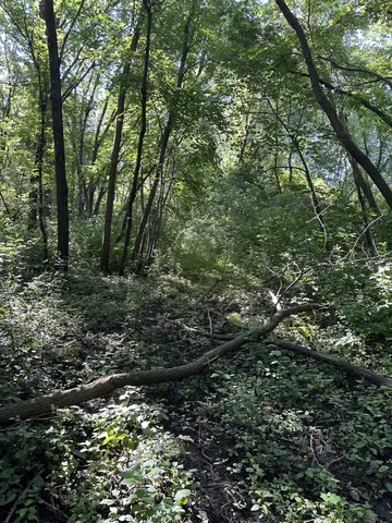 $285,000 | Xxx Xxx 50th Street Southeast, Delano, MN 55328