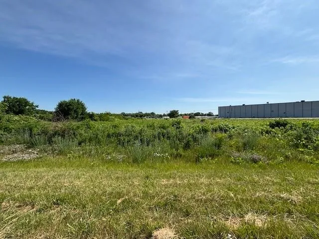 a view of a big yard with large trees