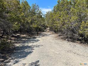 11351 Johnson Road Leander, TX 78641 - Photo 3 of 11