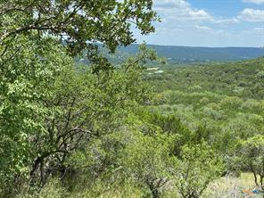 11351 Johnson Road Leander, TX 78641 - Photo 4 of 11