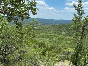 11351 Johnson Road Leander, TX 78641 - Photo 9 of 11