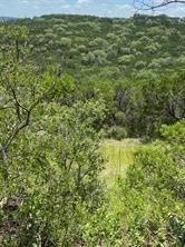 11351 Johnson Road Leander, TX 78641 - Photo 10 of 11