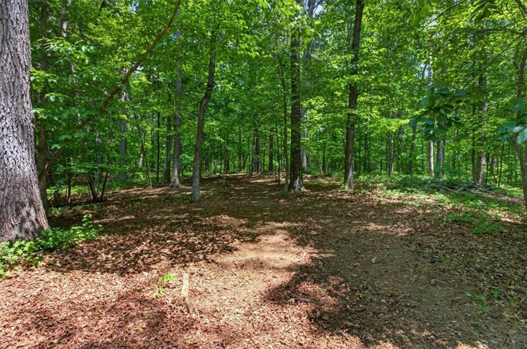 421 Lusk Court Canton, GA 30114 - Photo 42 of 47