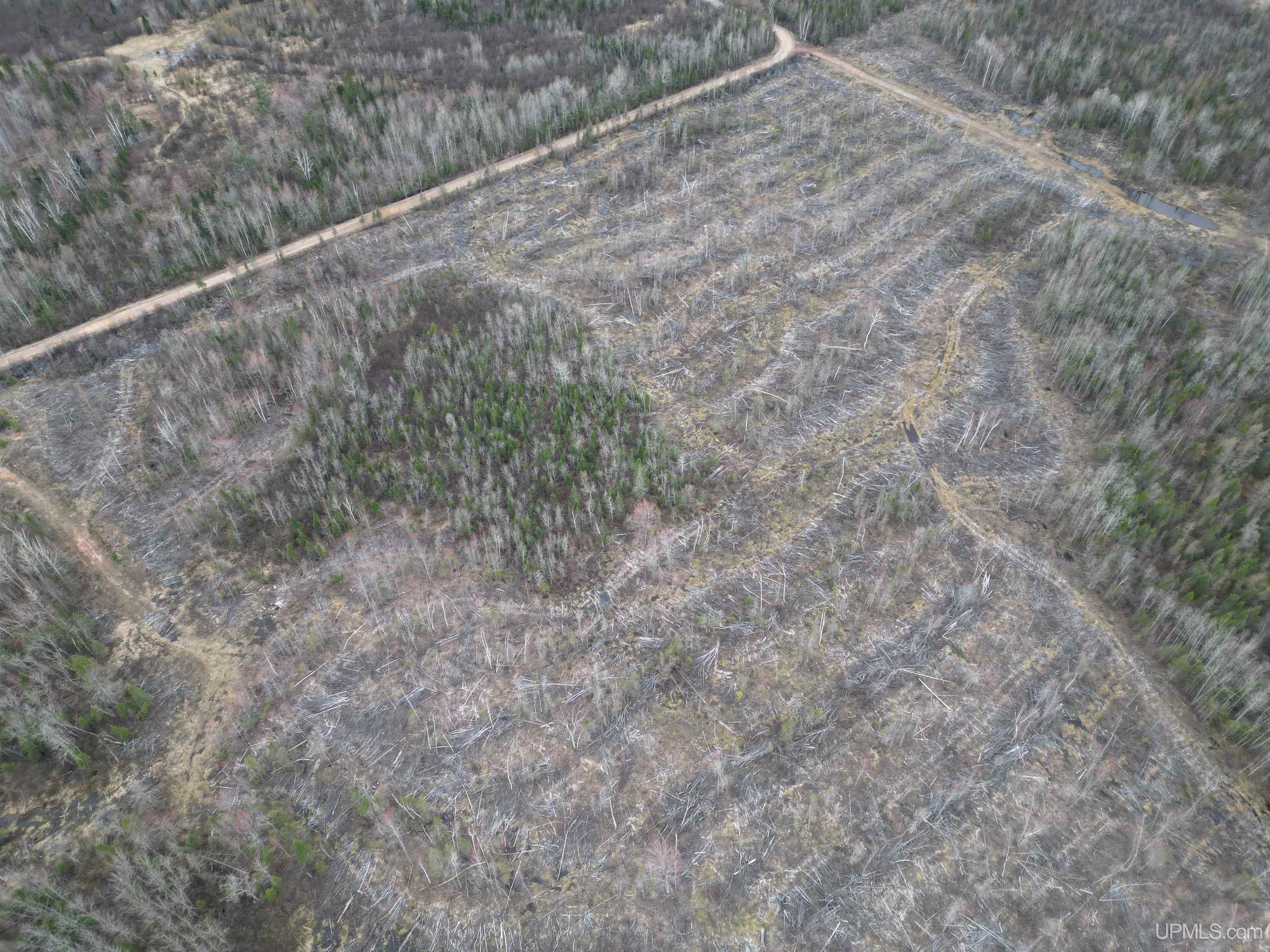 Tbd North Rock 38th Rd Sw 40 Road Rock, MI 49880 - Photo 23 of 29