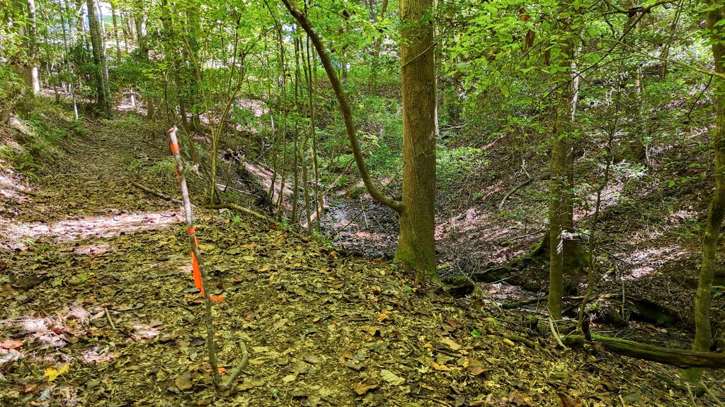 184 Beaver Ridge Road Murphy, NC 28906 - Photo 51 of 56 Gallery Image 51