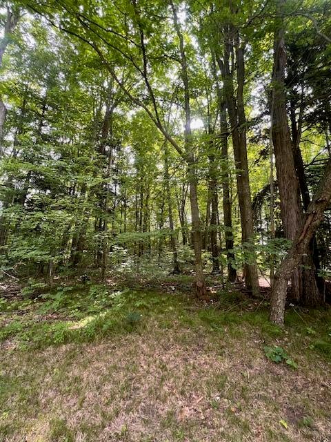 1675 West Kittle Road Mio, MI 48647 - Photo 18 of 34 Gallery Image 18