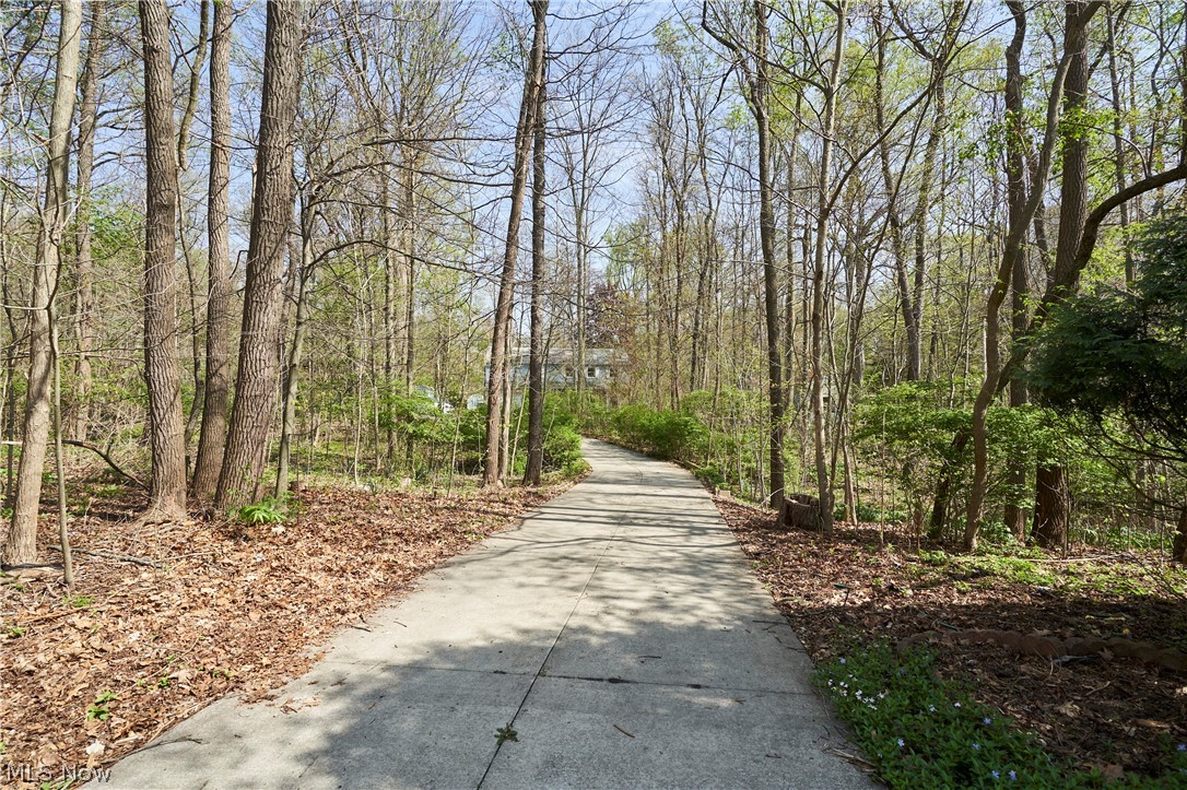 3097 Baughman Road Clinton, OH 44216 - Photo 21 of 27 Paved driveway bordered by mature trees and natural landscaping