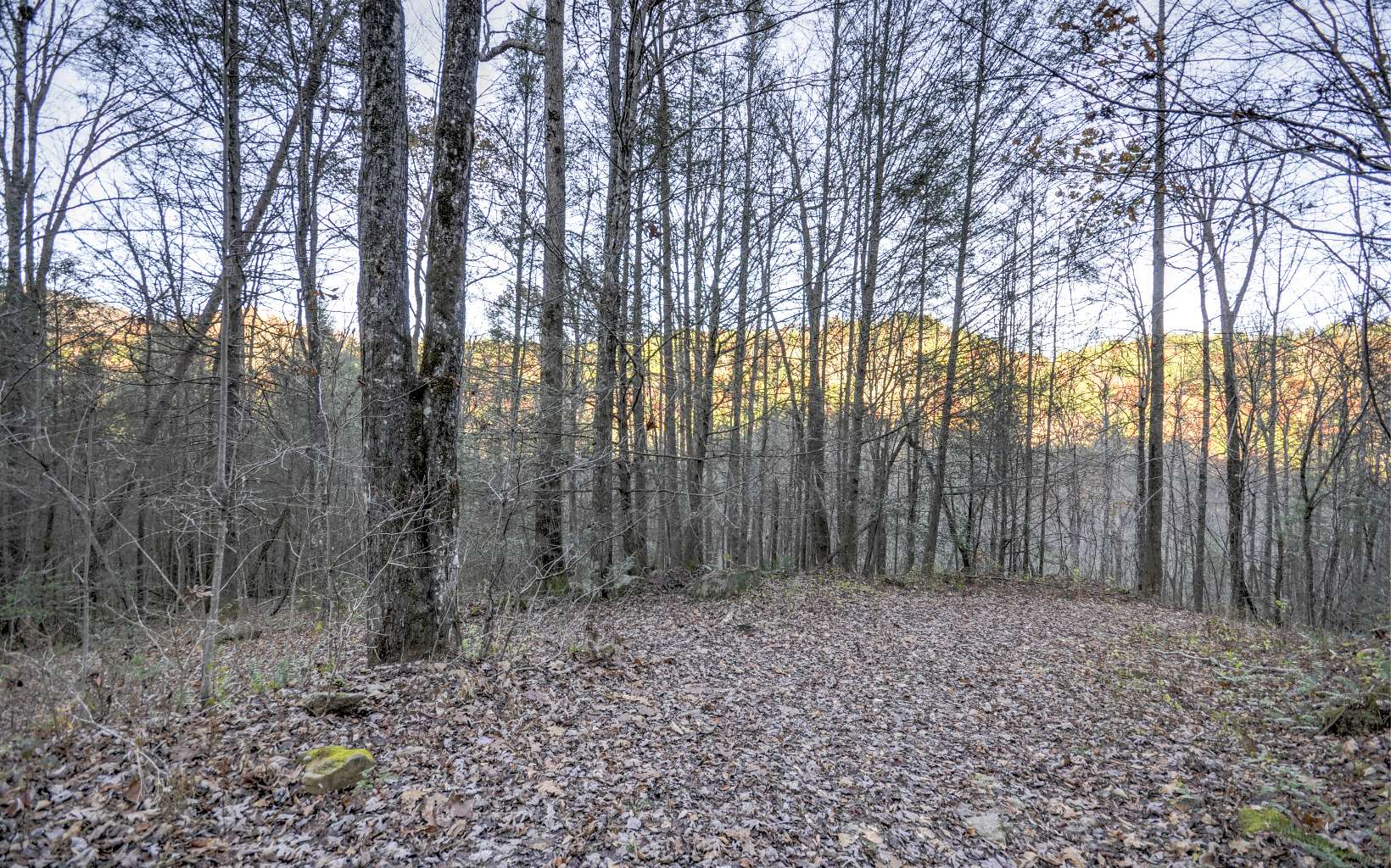 Flea Mountain Road Murphy, NC 28906 - Photo 2 of 4 Additional View