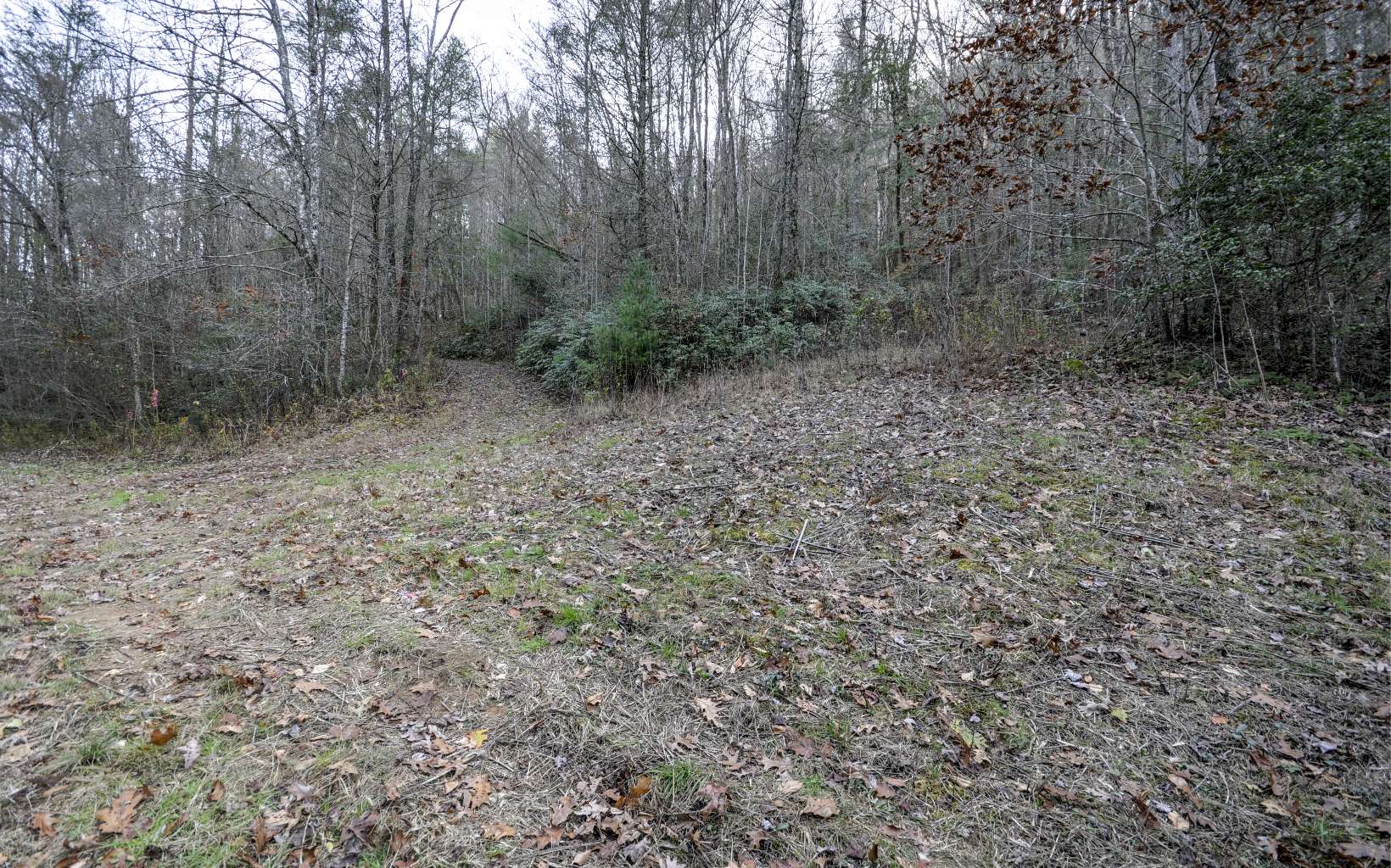 Flea Mountain Road Murphy, NC 28906 - Photo 3 of 4 Additional View