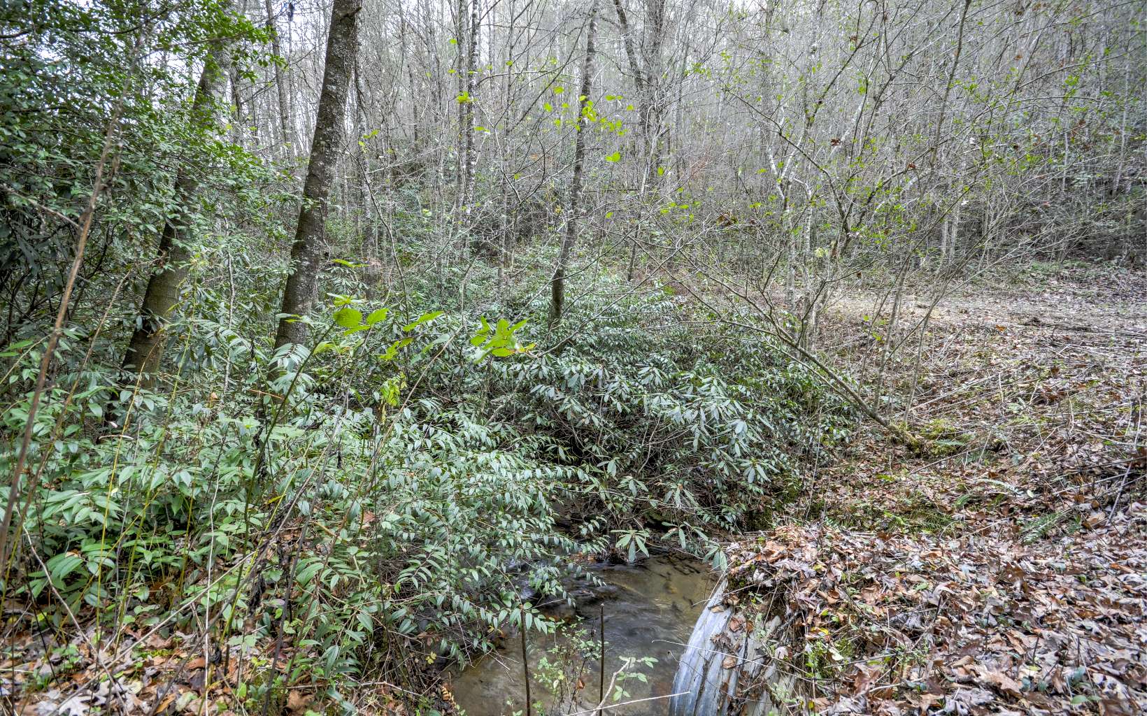 Flea Mountain Road Murphy, NC 28906 - Photo 4 of 4 Additional View