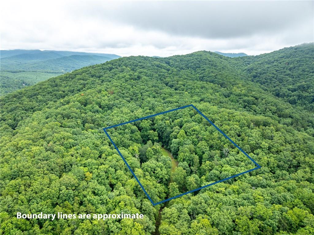 467 Gilliam Road Mineral Bluff, GA 30559 - Photo 11 of 36 a view of a lush green field with a mountain in the background
