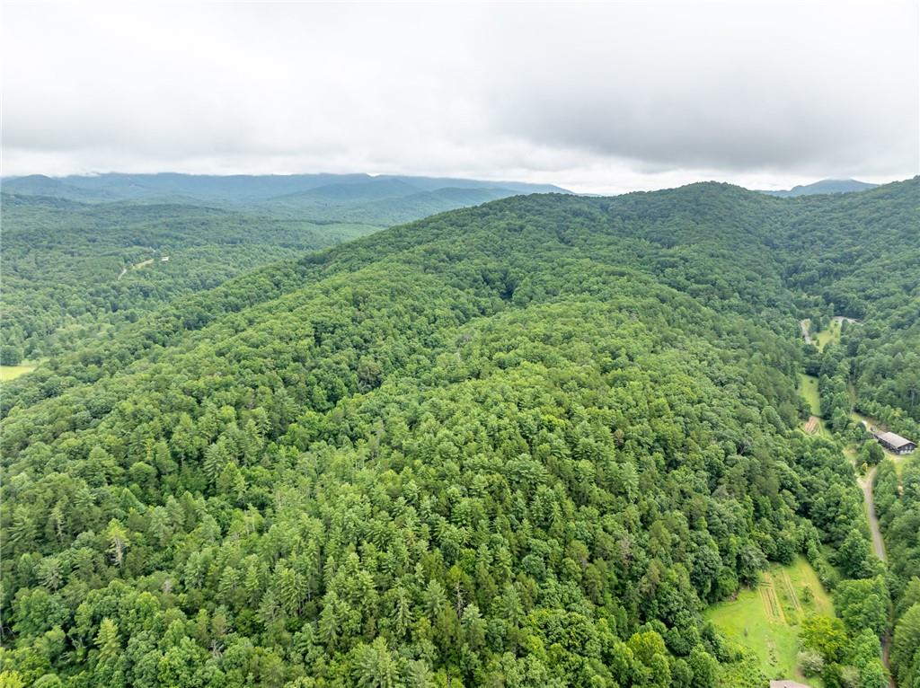 467 Gilliam Road Mineral Bluff, GA 30559 - Photo 12 of 36 a view of a large mountain with lush green forest