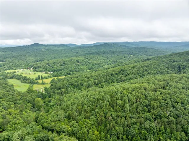 an aerial view of houses covered in trees