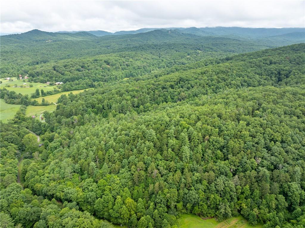 467 Gilliam Road Mineral Bluff, GA 30559 - Photo 14 of 36 a view of a lush green hillside and covered with trees in the background