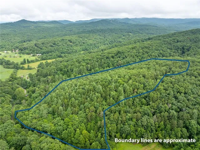 a view of a lush green hillside and mountains