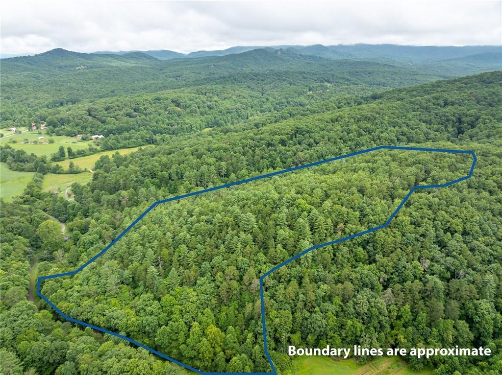 467 Gilliam Road Mineral Bluff, GA 30559 - Photo 15 of 36 a view of a lush green hillside and mountains