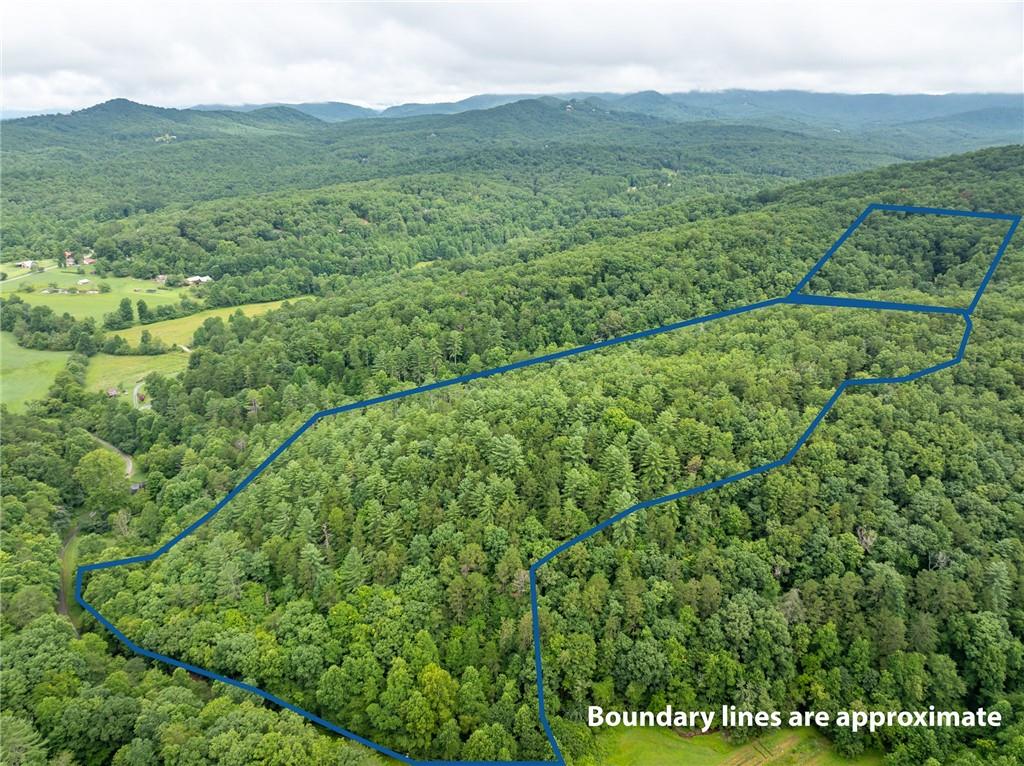 467 Gilliam Road Mineral Bluff, GA 30559 - Photo 16 of 36 a view of a lush green hillside and mountains
