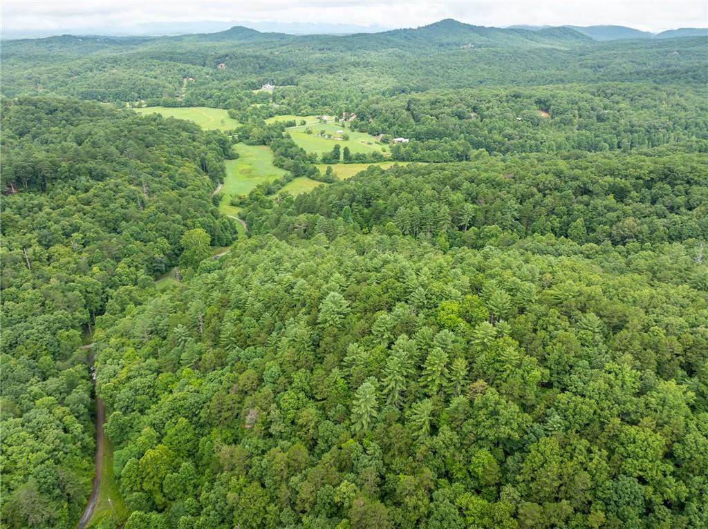 467 Gilliam Road Mineral Bluff, GA 30559 - Photo 17 of 36 a view of a green field with lots of bushes