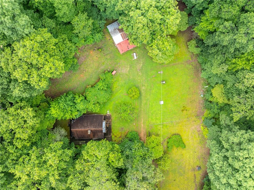 467 Gilliam Road Mineral Bluff, GA 30559 - Photo 2 of 36 a backyard of a house with a yard and plants