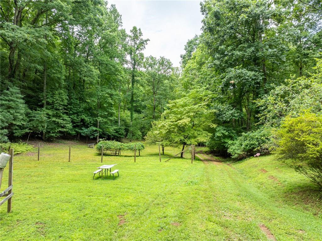 467 Gilliam Road Mineral Bluff, GA 30559 - Photo 23 of 36 a view of swimming pool with a yard