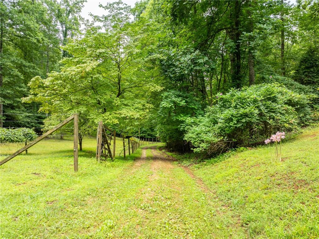 467 Gilliam Road Mineral Bluff, GA 30559 - Photo 24 of 36 a view of an outdoor space and a yard