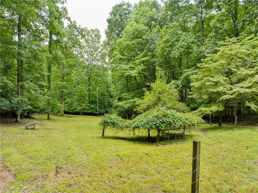 467 Gilliam Road Mineral Bluff, GA 30559 - Photo 25 of 36 a view of a garden