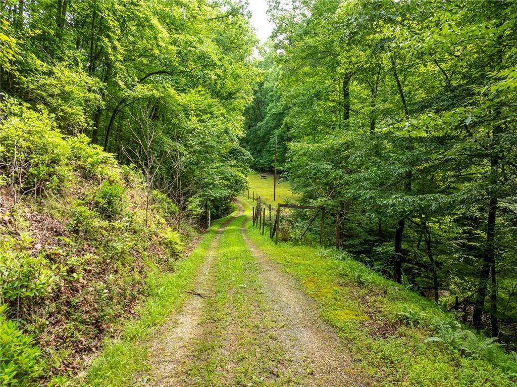 467 Gilliam Road Mineral Bluff, GA 30559 - Photo 28 of 36 a view of yard with green space