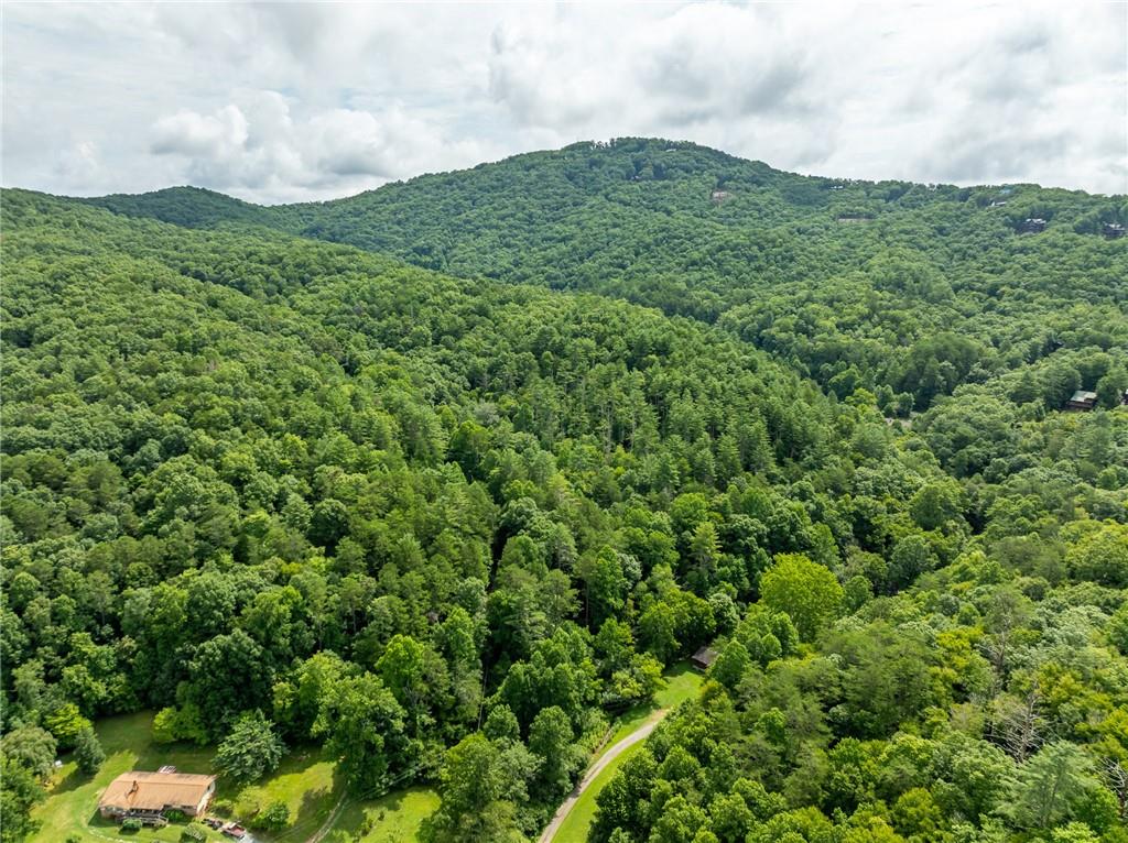 467 Gilliam Road Mineral Bluff, GA 30559 - Photo 33 of 36 a view of a green field with lots of bushes