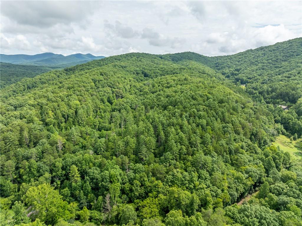 467 Gilliam Road Mineral Bluff, GA 30559 - Photo 34 of 36 a view of a lush green forest with trees in the background