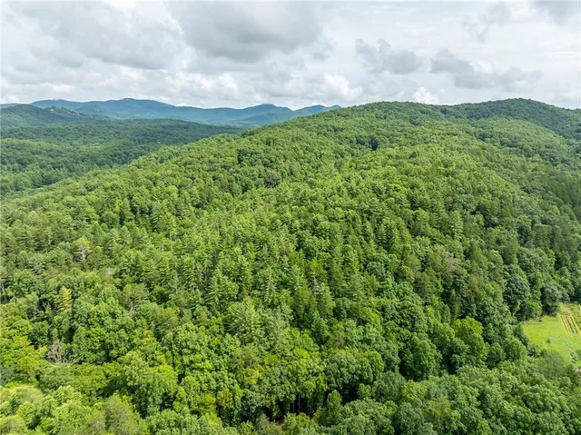 a view of a green field with lots of bushes