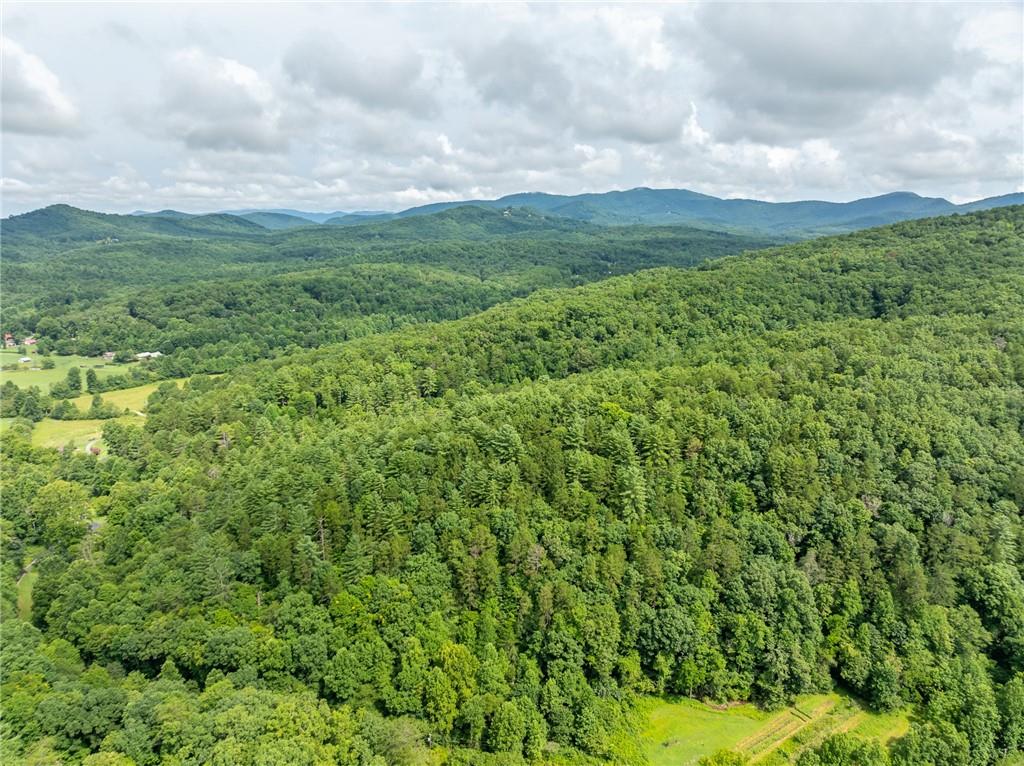 467 Gilliam Road Mineral Bluff, GA 30559 - Photo 36 of 36 a view of a big yard with plants and mountain view in back