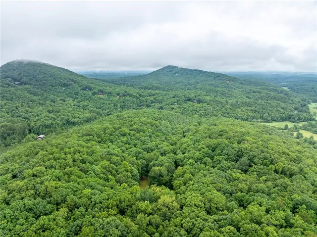 an aerial view of houses covered in trees