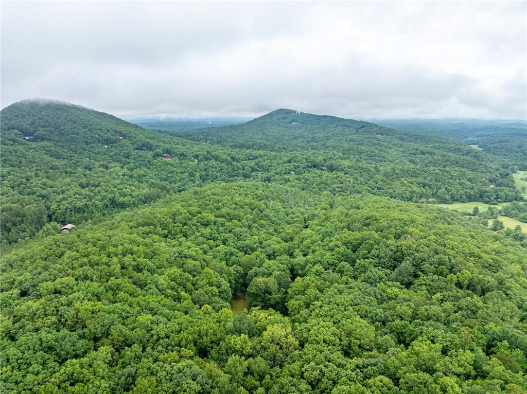 467 Gilliam Road Mineral Bluff, GA 30559 - Photo 4 of 36 an aerial view of houses covered in trees