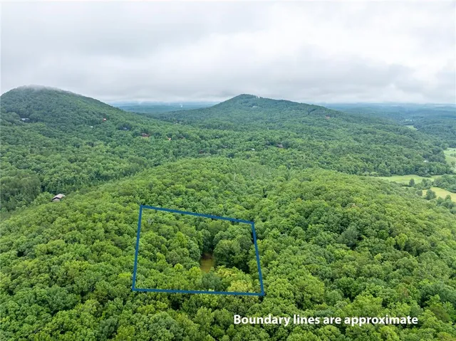 an aerial view of houses covered in trees
