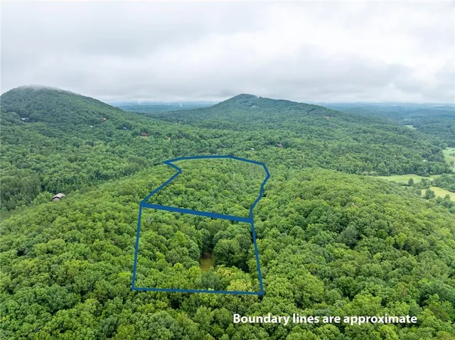 a view of a green field with lots of bushes
