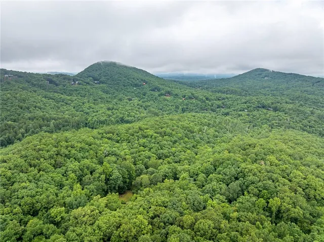 a view of a field of grass and trees