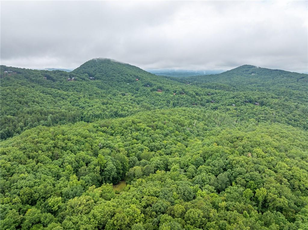467 Gilliam Road Mineral Bluff, GA 30559 - Photo 7 of 36 a view of a field of grass and trees