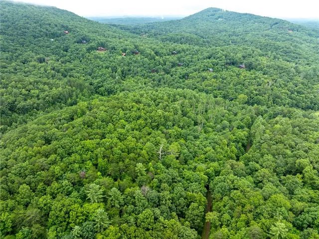 a view of a lush green forest with trees and some houses