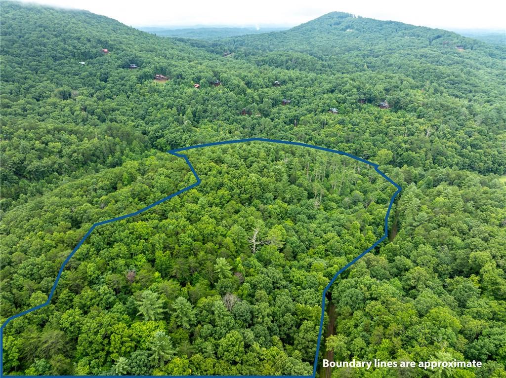 467 Gilliam Road Mineral Bluff, GA 30559 - Photo 9 of 36 a view of a lush green forest with a mountain