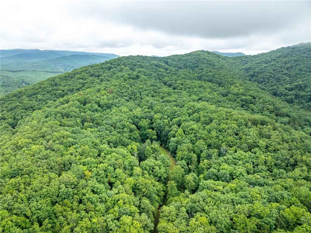 467 Gilliam Road Mineral Bluff, GA 30559 - Photo 10 of 36 a view of a lush green field
