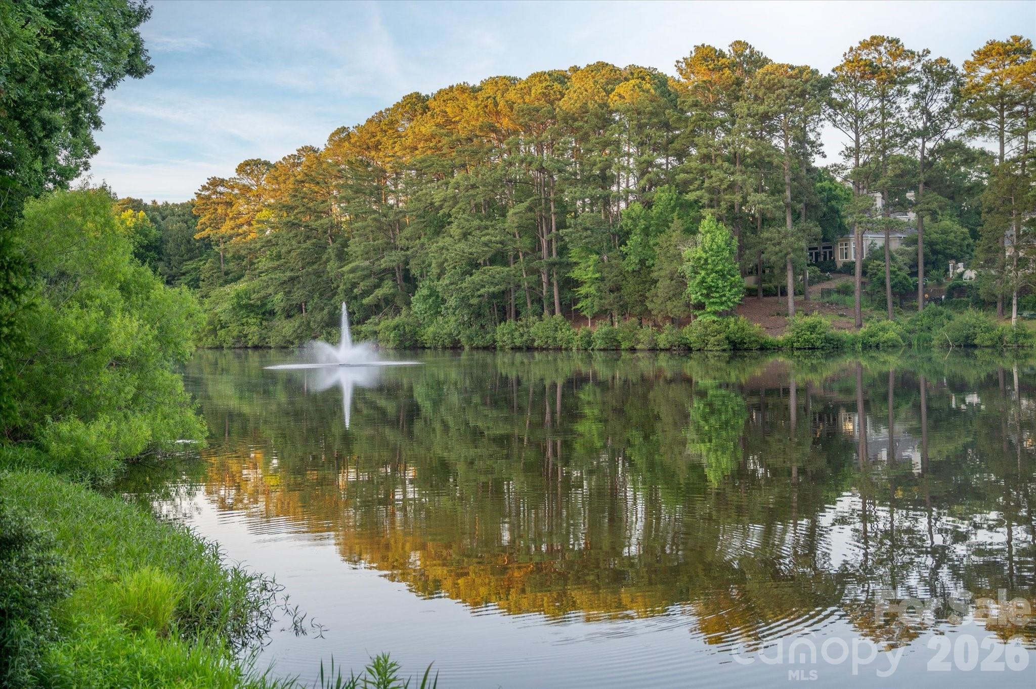6405 Mitchell Hollow Road Charlotte, NC 28277 - Photo 47 of 48